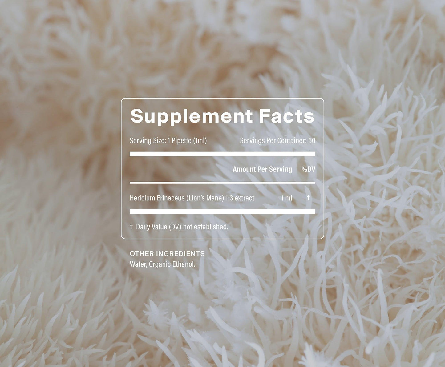 Manapura Organic Lion's Mane
