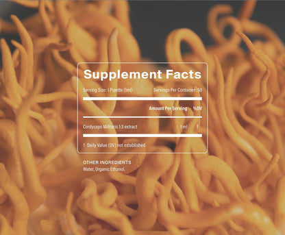 Manapura Organic Cordyceps