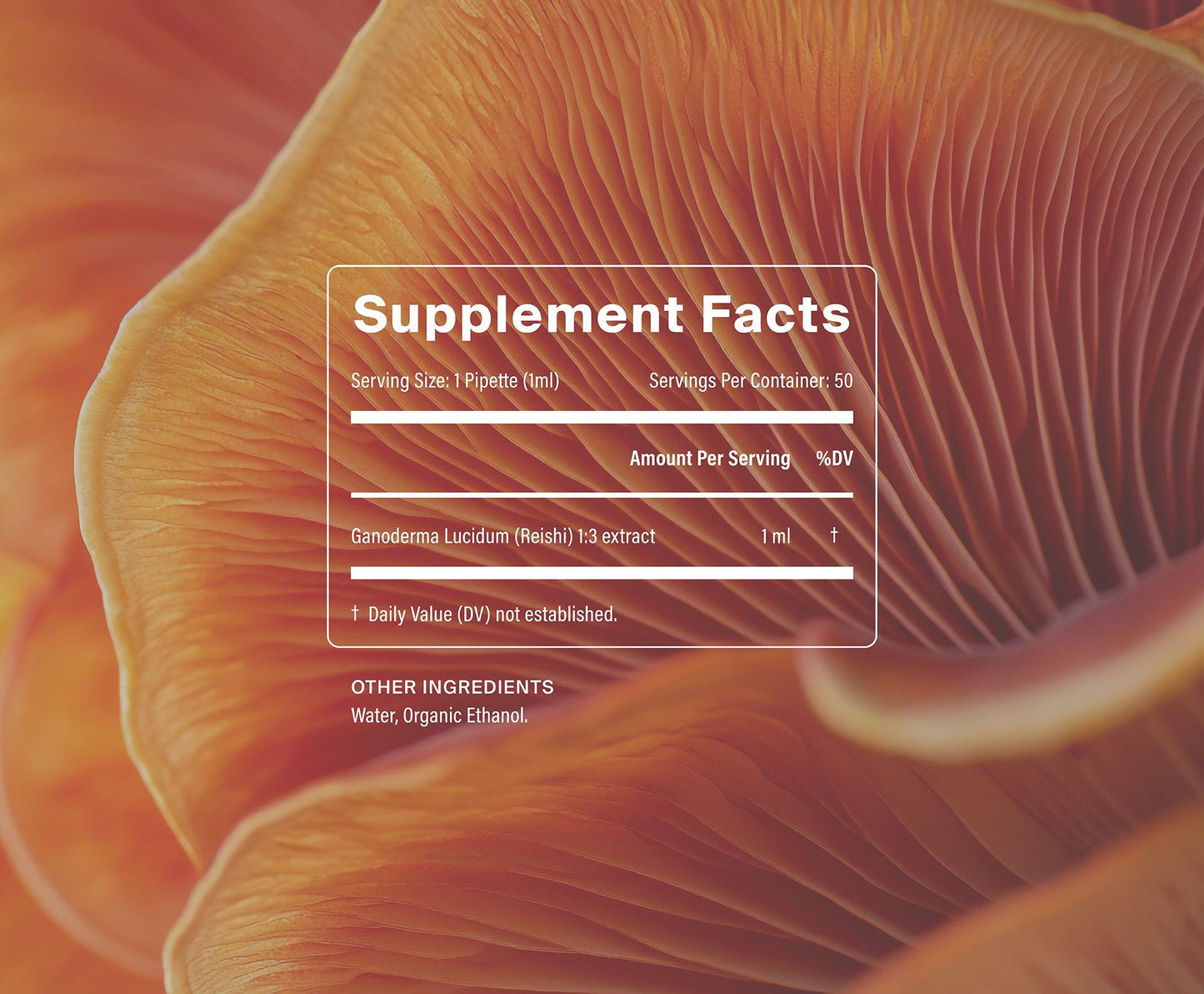 Manapura Organic Reishi