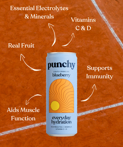 Punchy Hydration (Blueberry) Multipack