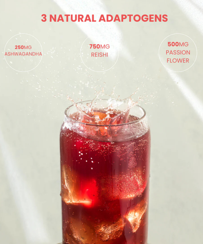 Adapt Relax (Elderflower & Pomegranate) Multipack