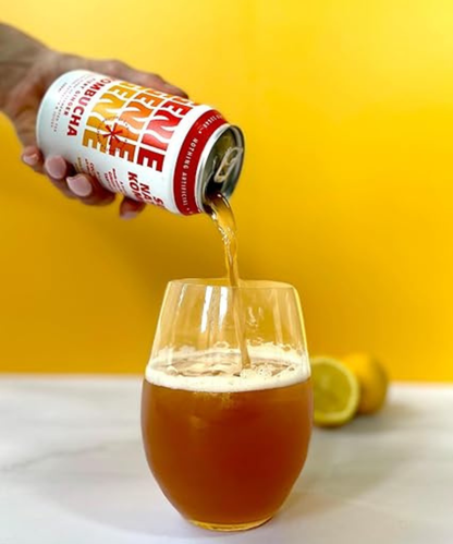 Genie Kombucha (Fiery Ginger) Multipack