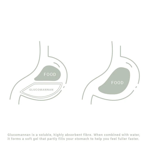 GP Nutrition Fibre