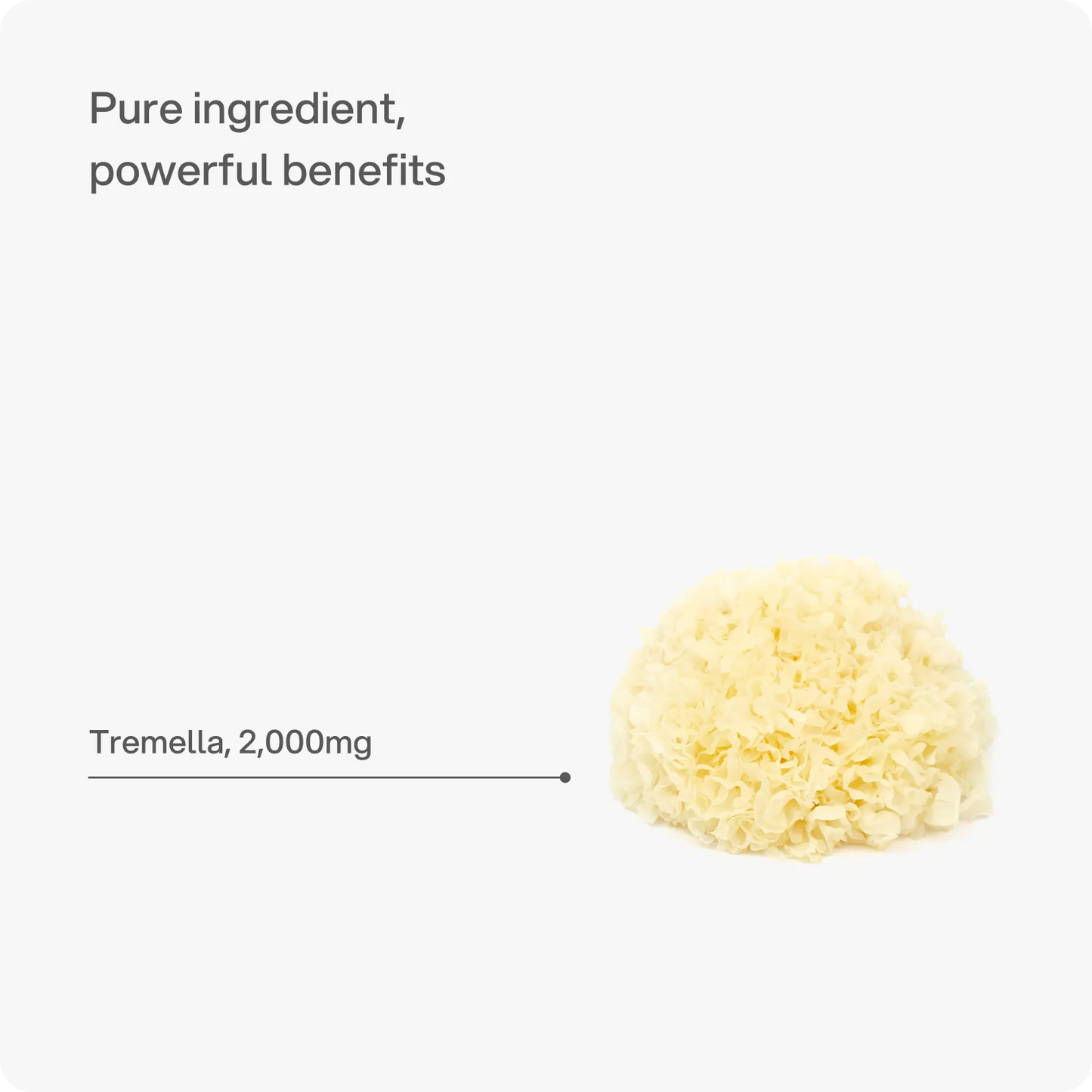 Headstrong Tremella Mushroom Capsules